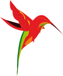 COLIBREW Consulting